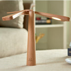 Dragonflight Balance Desk Light
