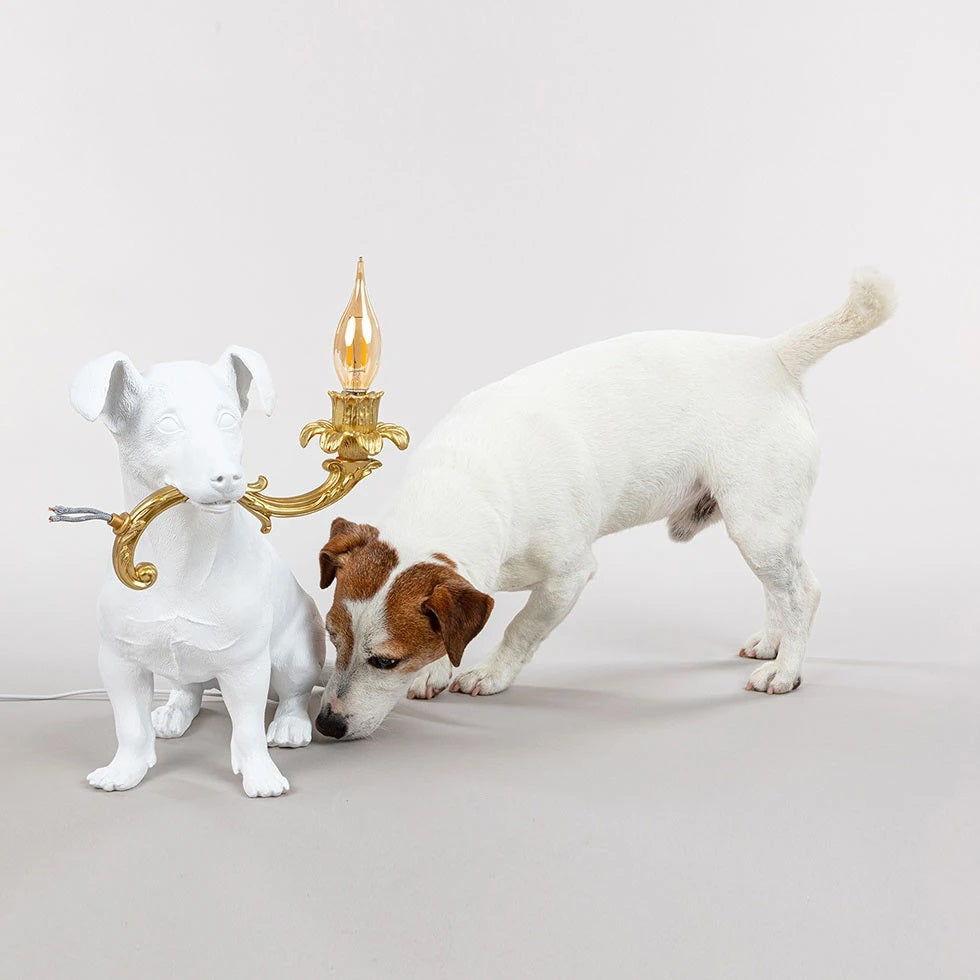 The Wildest & Most Iconic Design Lamp Dog Rio